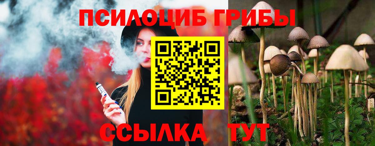 Галлюциногенные грибы Psilocybine cubensis  Вход с VPN  Вичуга 