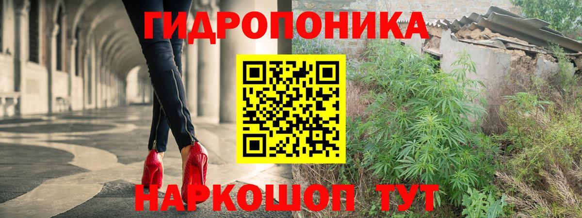 Бошки Шишки конопля  Вход с VPN  Конопля ГИДРОПОН  Каннабис White Widow  Вичуга 